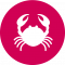 crustaceos