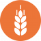 gluten